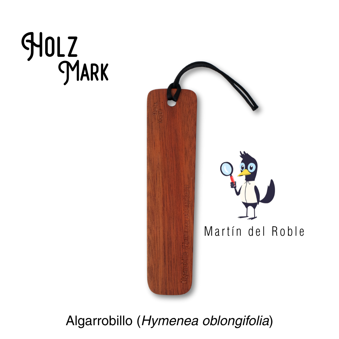 Holz mark línea duramen