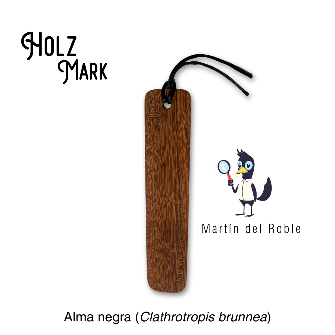 Holz mark línea duramen