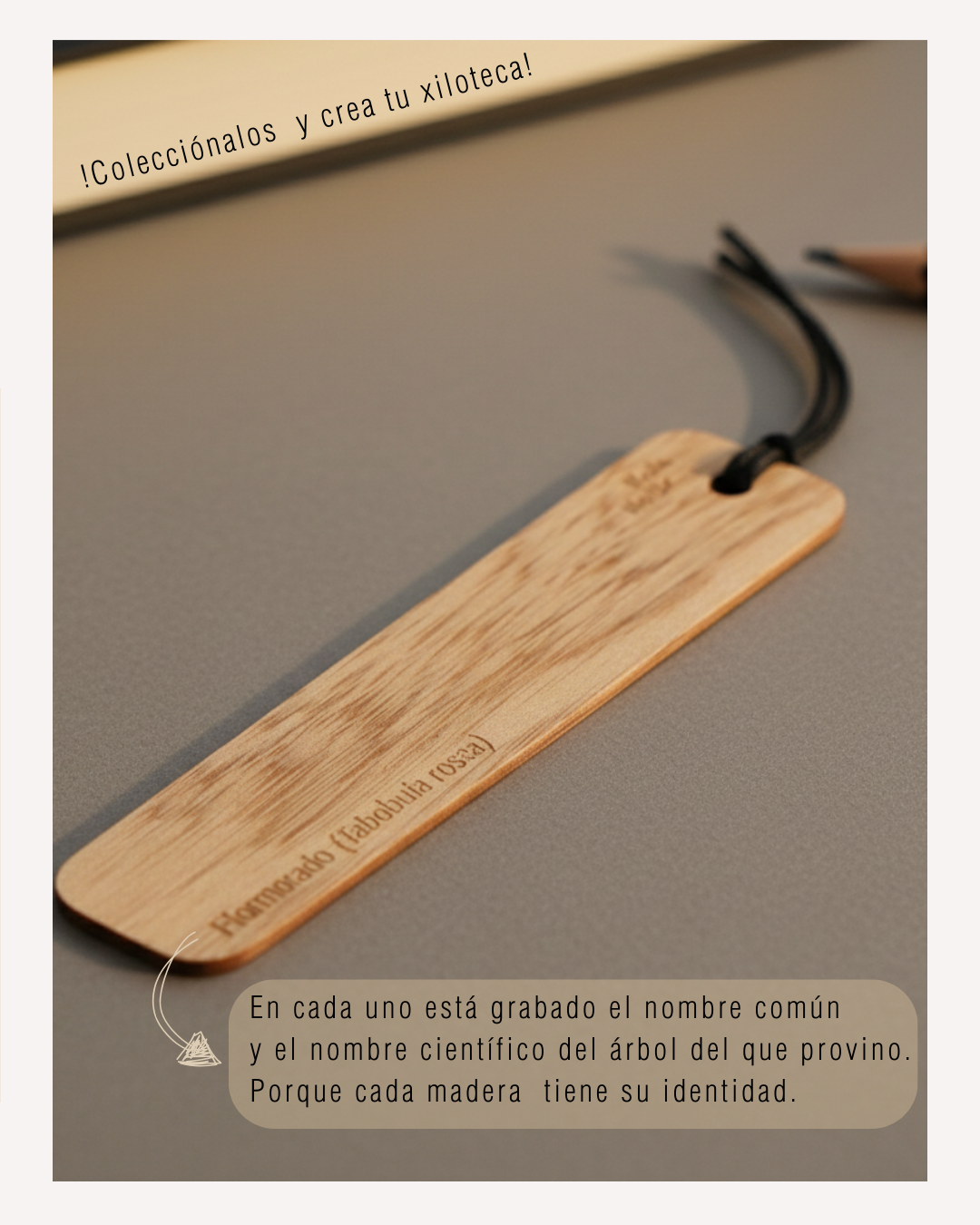 Holz mark Linea albura