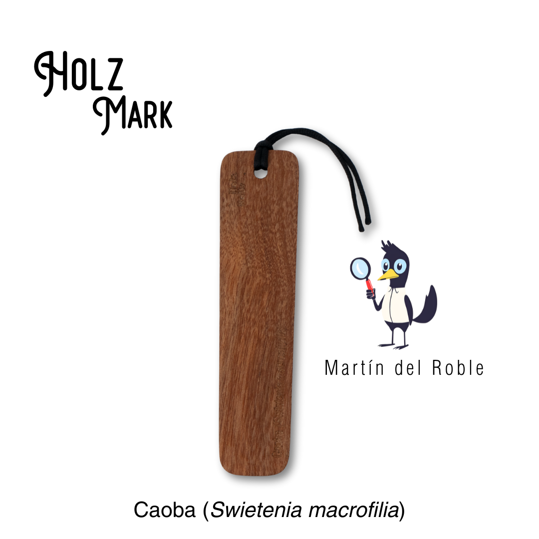 Holz mark línea duramen