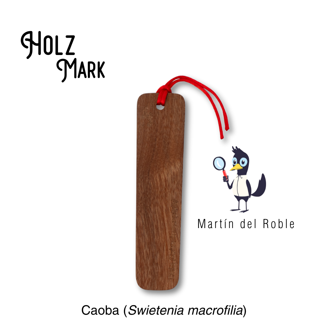 Holz mark línea duramen